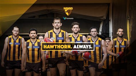 Hawthorn Wallpapers Top Free Hawthorn Backgrounds WallpaperAccess