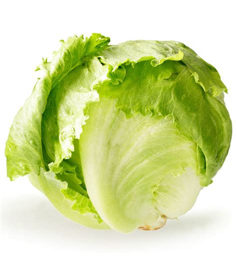 lettuce