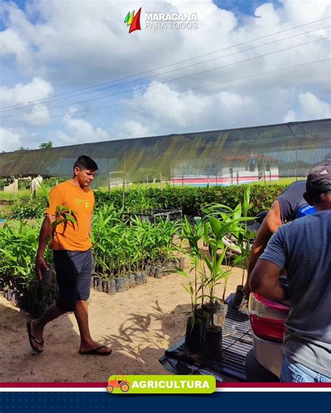 SEMAGRI REALIZA A ENTREGA DE MUDAS PARA PRODUTORES DA REGIÃO