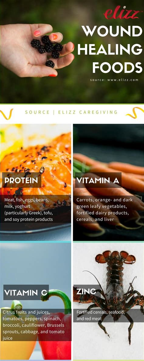 nutrition wound healing food infographic