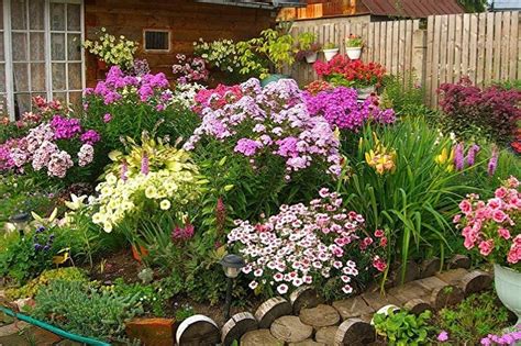 Многолетние цветы для дачи и сада: 95 фото с названиями, уход, выращивание