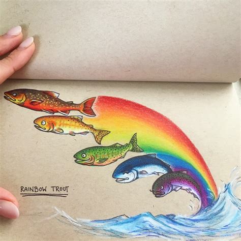 Catch the rainbow : r/Fishing