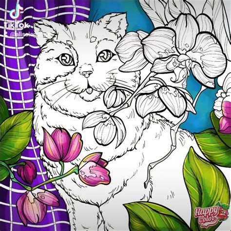 Котенок с орхидеей😽#раскраска #coloring #процесс #разукрашка #кот - YouTube