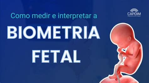 O Que Significa Dbp Na Ultrassom - O Que Significa DBP na Ultrassom? | Actualizado marzo 2026