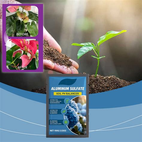 ToyKingdee Aluminum Sulfate - Soil Acidifier for Hydrangeas to Turn