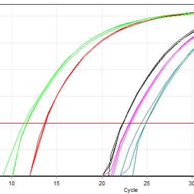 qPCR Primer Design