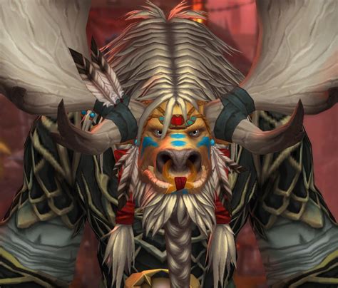 Tauren De Haut Roc Les Nouvelles Options De Personnalisation Au Patch