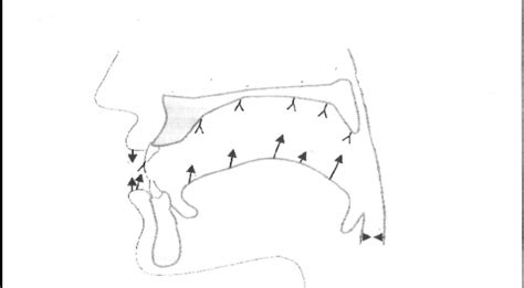 Fonetisch Schrift Plaats Diagram Quizlet