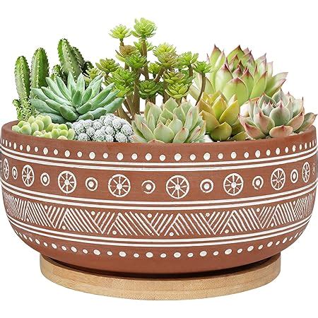 Amazon Summer Impressions Inch Glazed Terracotta Plant Pot Round