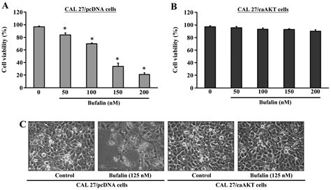 Akt Serine Threonine Protein Kinase Modulates Bufalin Triggered