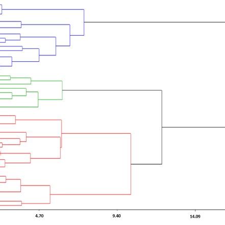 Dendrogram Obtained With The Classification Analysis Of Wheat