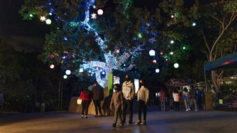 Holiday celebrations return to San Diego Zoo and SDZ Safari Park ...