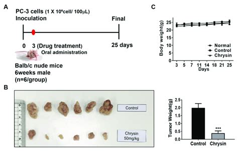 Pc Xenograft Growth Suppressing Activity Of Chrysin In Athymic Nude