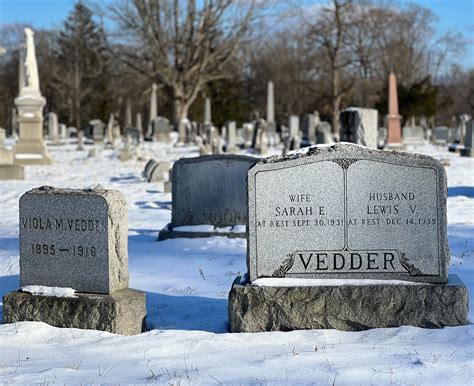 Lewis Vroman Vedder Find A Grave Memorial