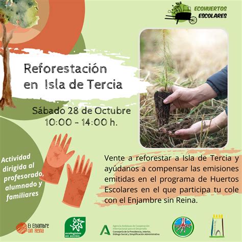 Reforestación Participativa para compensar nuestras emisiones