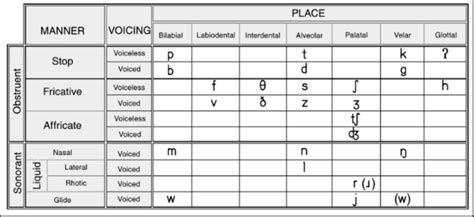 IPA Consonants Chart Diagram | Quizlet