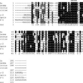 Multiple Sequence Alignment Of Thioredoxin Proteins From Fasciola