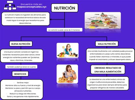 Mapa Conceptual Sobre La Nutricion 1768 Hot Sex Picture