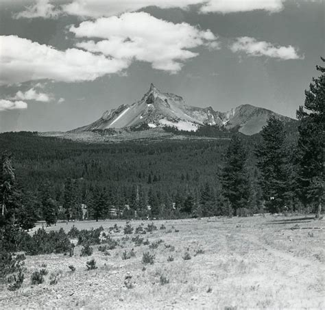 The Oregon Encyclopedia