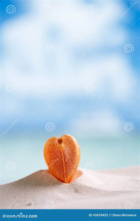 Red Heart Sea Shell With Ocean Beach And Seascape Stock Photo Image