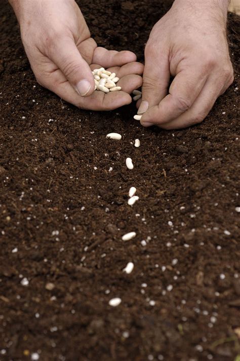 Planting Seeds with Amy Bratton | Yoga Union CWC Blog