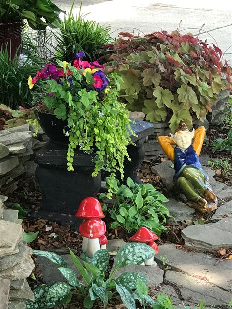 garden gnomes google 1
