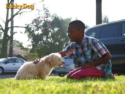 Watch Lucky Dog Episodes | Season 1 | TVGuide.com