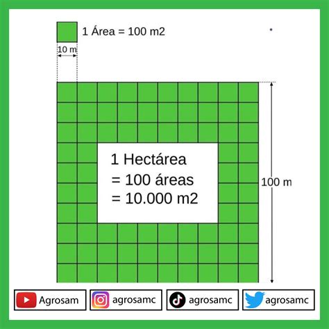 12 Hectares Em Metros - Equivalencia Una Hectarea En Metros - trimapa