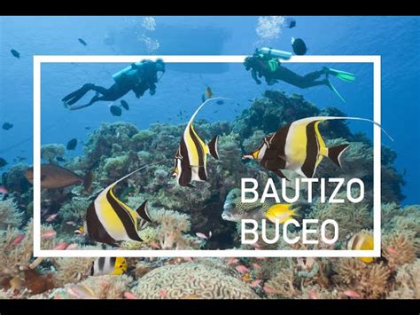 Descubre La Emoci N Del Buceo En La Costa Brava Bautizos De Buceo Para