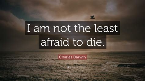 We Are Not Afraid To Die Extra Question Answer 1