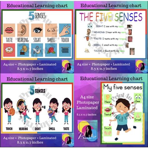 5 senses educational chart for kids Laminated A4 | Shopee Philippines