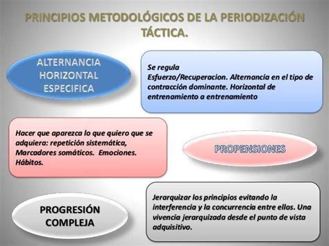 La periodización táctica Principios Metodológicos de entrenamiento