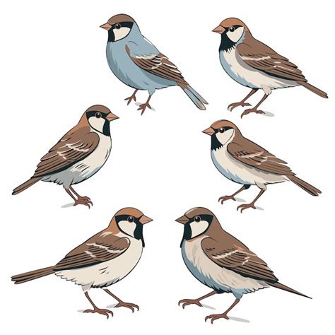 Premium Vector Cartoon Sparrow Birds Vector Color Collection Set Isolated