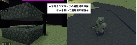 マイクラ終盤、「協力プレイ」でエンドラ討伐【家族でマイクラ 8】 移住とゲームの攻略ブログ