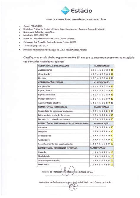 Planilha De Estagio Anos Iniciais Do Ensino Fundamental Revoeduca