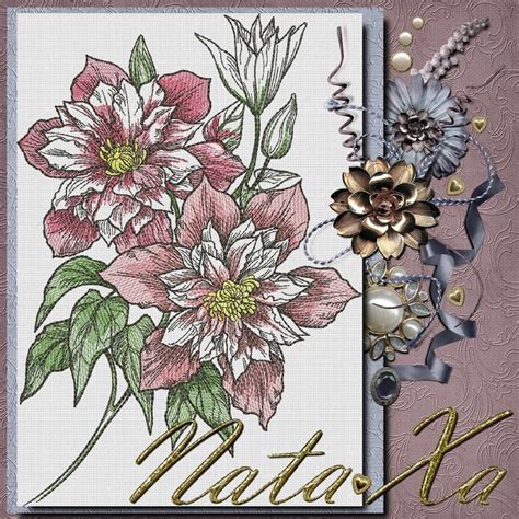 Clematis Flower Machine Embroidery Designs Set Of Designs Etsy