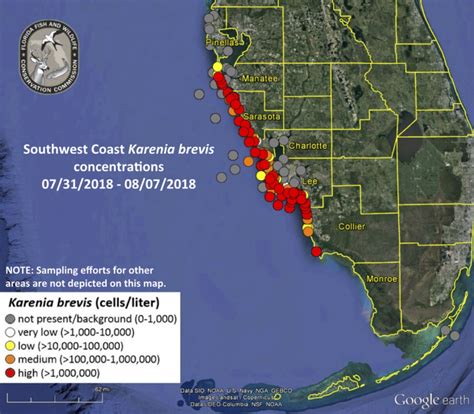 Florida Red Tide Map 2024 - Gilly Stormy