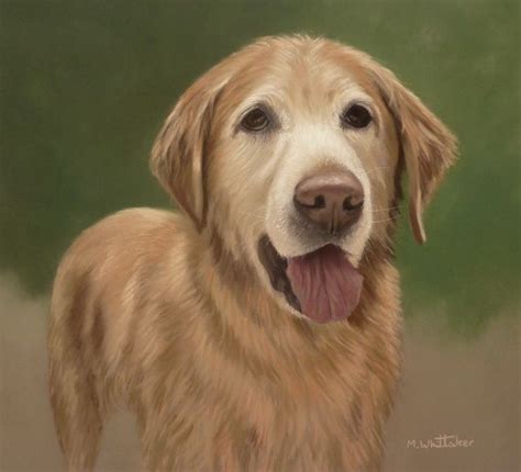 Mark Whittaker Pet Portrait And Wildlife Artist Original Pastel Painting