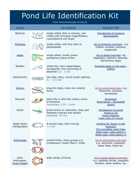 Pond Life Identification Ingridscienceca