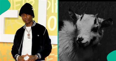 Wizkid Makes Bold Statement As He Poses With Goat In Snippet From