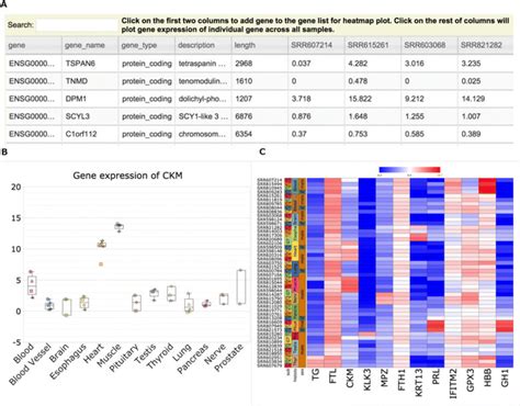 Interactive Visualization Of Gene Expression A Gene Expression Levels