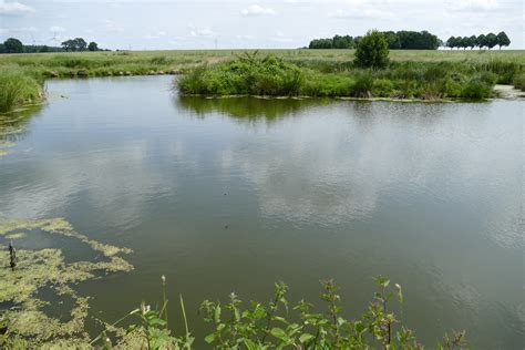 Teiche Melzingen Ngidn Naturgucker De