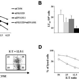 Pvr Expression On Activated T Cells Is Associated With Progression To