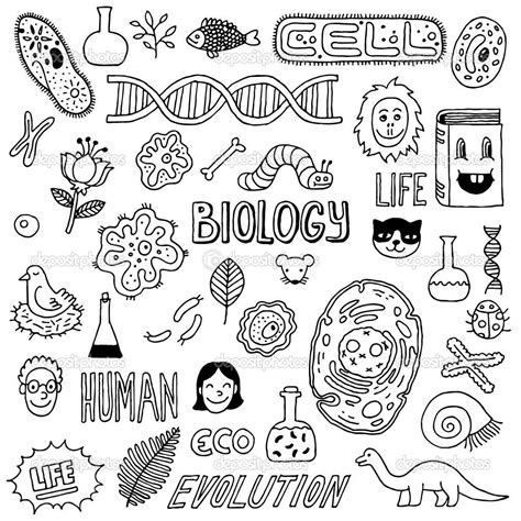 Life Science Drawings