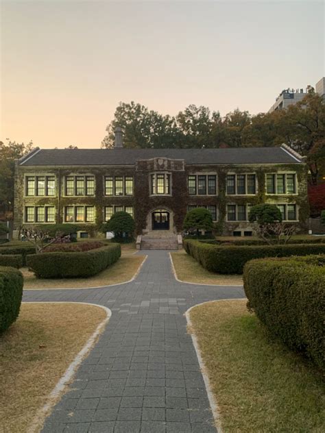 Yonsei University Aesthetic Korea Future Goals Private School Study