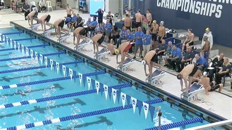 2024 Dii Swimming And Diving Day Three Morning Session Full Replay