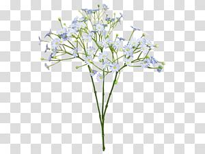 Babys Breath Bouquet Clipart Free