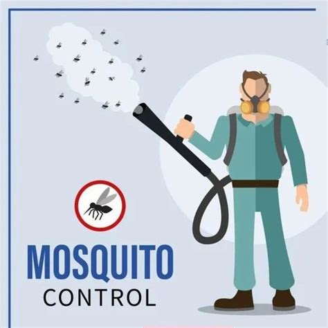 Mosquito Pest Control Services At Rs Service In Coimbatore Id