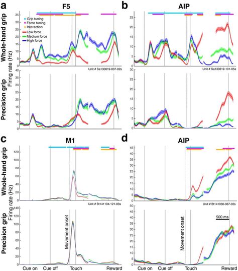 Single Neuron Responses Convolved Average Firing Rates Of Four Example