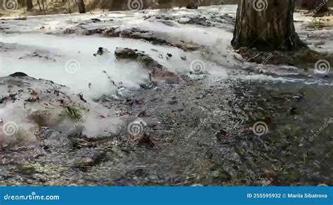 Spring Snow Melting In The Forest Streams Running Horizontal Shooting